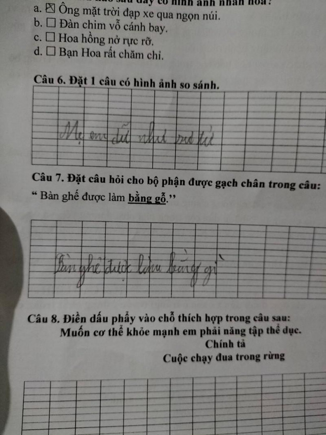 Đề bài yêu cầu đặt câu so sánh, học sinh tiểu học lấy mẹ làm ví dụ khiến dân tình chào thua - 1