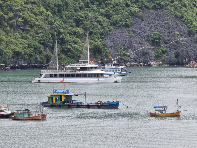 Khu vực bến Bèo nơi đón đưa khách đi tour tham quan đảo Khỉ, Vịnh Lan hạ