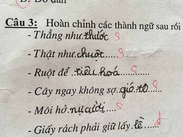 Riêng bạn học sinh này thì đặt hết niềm tin vào sự đúng đắn của câu thành ngữ do chính mình tạo ra.