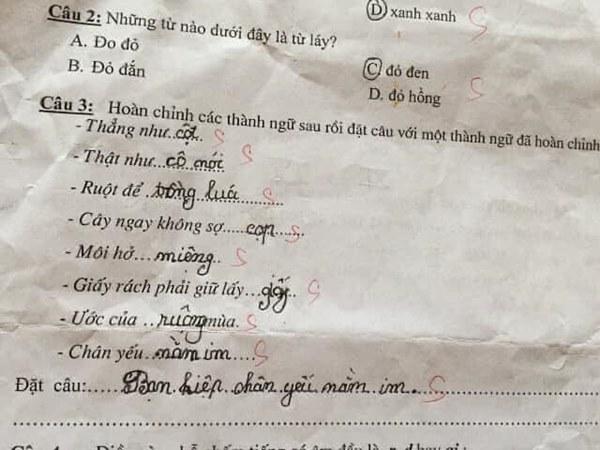 Học sinh cấp 1 làm bài tập tiếng Việt, mới câu đầu tiên mà phụ huynh đã &#34;cười ngất tới 3 ngày&#34; - 3