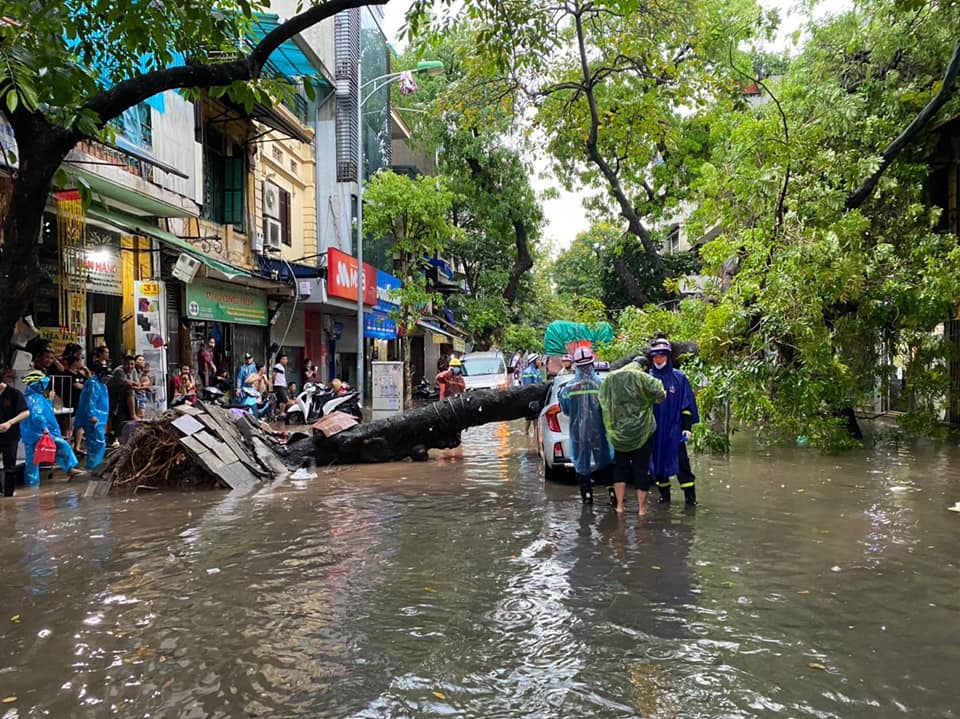 Mưa lớn khiến cây xanh đổ xuống đường ở 31 Hàng Chiếu (Hoàn Kiếm, Hà Nội) đè trúng ô tô đang di chuyển. May mắn, tài xế trong xe không bị thương.