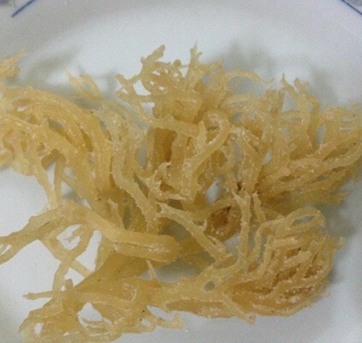 Hiện nay, rau câu chân vịt đã trở thành đặc sản của Phú Quốc và được bày bán rộng rãi trên các sàn thương mại điện tử với mức giá khoảng 800.000 đồng/kg.
