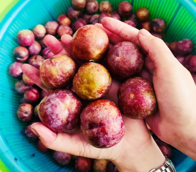 Plums are in season, learn from mom to make sweet, delicious plum jam without being crushed - 3