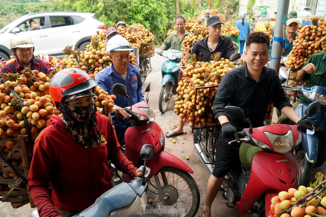 Anh Hùng cho biết: "Vải năm nay mẫu mã đẹp, từ sáng đến giờ tôi chở được hơn 10 xe rồi, bán được giá cao nên ai nấy đều vui mừng. Chỉ trong vài ngày, hơn 2 sào vải u hồng nhà tôi đã được bán sạch với giá dao động từ 35.000 - 40.000/kg".