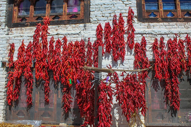 Ẩm thực Bhutan lấy vị cay làm hương vị chính và các món ăn truyền thống ở đây có rất nhiều ớt bột hoặc ớt xay khô. Hầu hết mọi gia đình ở Bhutan thường treo những dây ớt (ristras) lên tường trắng của họ để phơi khô sau khi thu hoạch.
