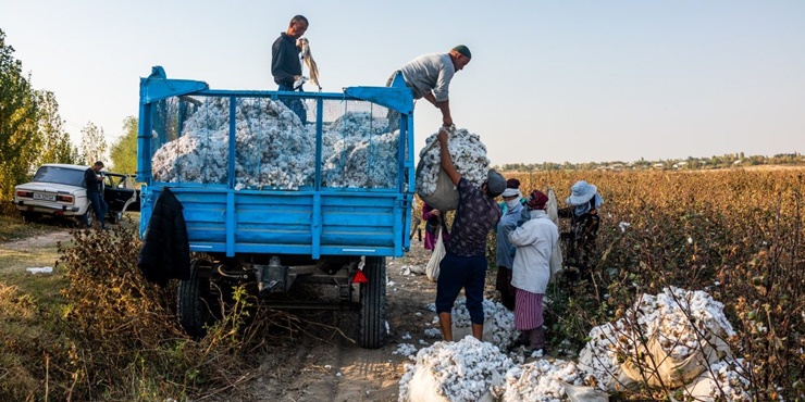 Sản phẩm nông nghiệp xuất khẩu chủ yếu là bông và bột mỳ. Uzbekistan sản xuất tới 85% bột mỳ và 90% gạo, lúa mạch tiêu thụ trong nước
