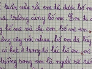 Bạn trẻ - Cuộc sống - Bài văn miêu tả hoạt động bảo vệ môi trường của bé gái tiểu học khiến cộng đồng mạng cười ngất