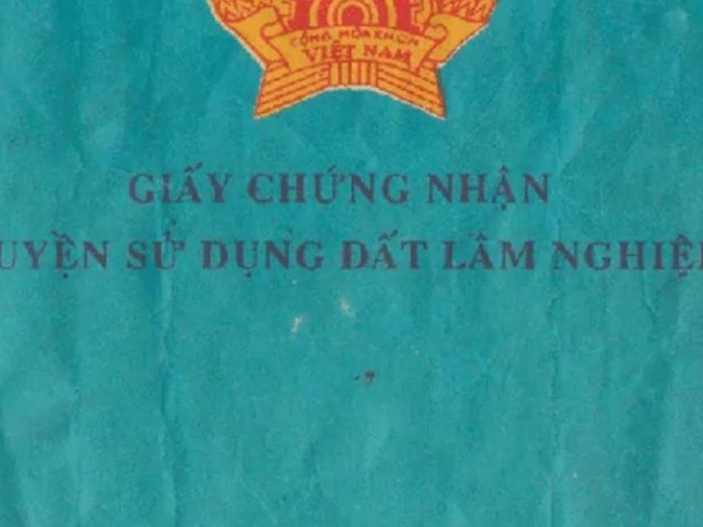 Phân biệt sổ đỏ, sổ trắng, sổ xanh trong chứng nhận nhà đất