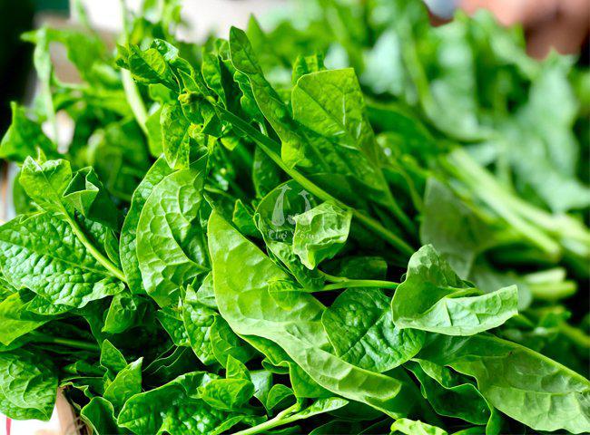Surprise 4 harmful effects of spinach that many people do not know - 4