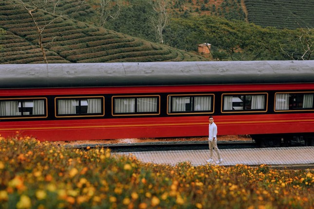 Brand new check-in location in Da Lat: The train scene in the middle of a flower field as beautiful as the European sky - 7