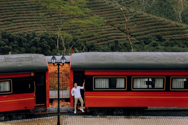 Brand new check-in location in Da Lat: The train scene in the middle of a flower field as beautiful as the European sky - 2