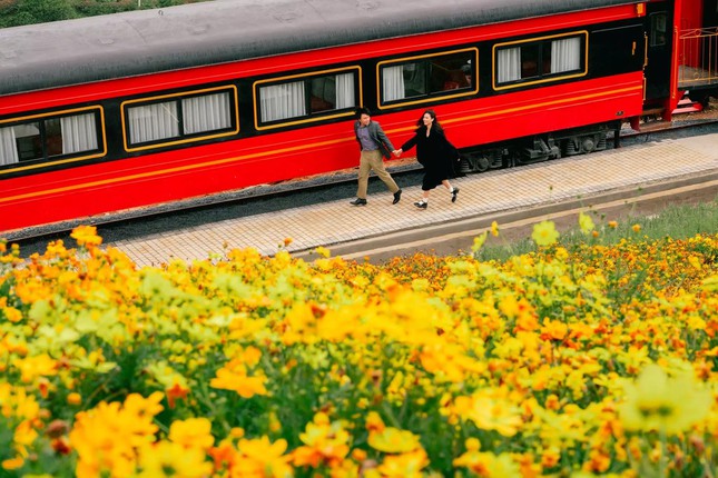 Brand new check-in place in Da Lat: The train scene in the middle of a flower field as beautiful as the European sky - 10