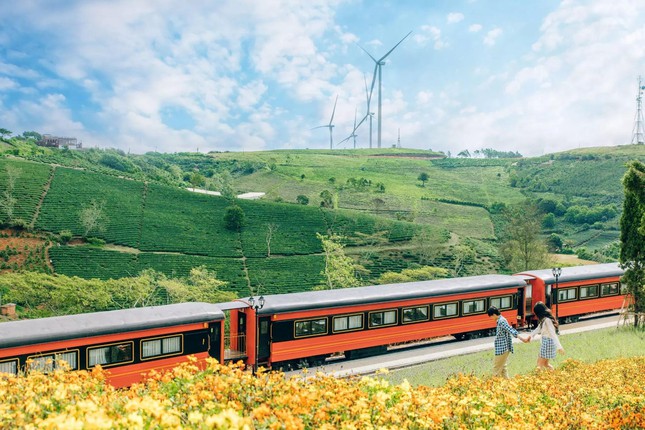 Brand new check-in place in Da Lat: The train scene in the middle of a flower field as beautiful as the European sky - 8