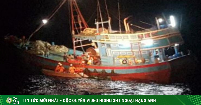 News of the past 24 hours: The man was bitten by a shark in the sea of ​​Hai Phong