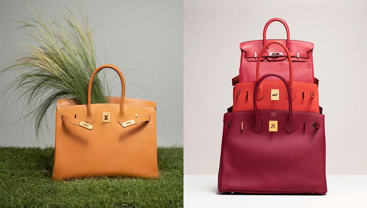 Hermes Birkin - ‘nữ hoàng’ của dòng túi xách nữ - 4