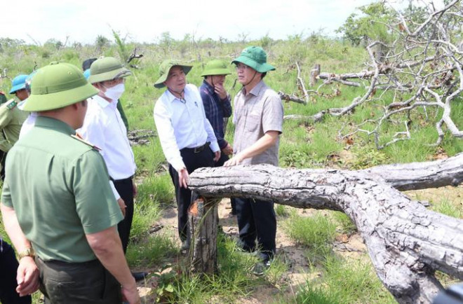 Bí thư Tỉnh ủy và Chủ tịch UBND tỉnh Đắk Lắk khảo sát hiện trường vụ phá rừng lớn nhất tỉnh này