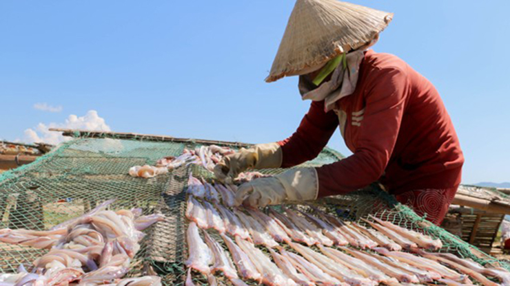 Sau mỗi chuyến đi biển, người dân lại mang về chế biến thành các món ăn, trong đó phổ biến nhất món cá đét kho.
