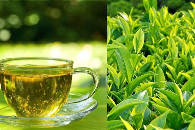 Mùa hè uống trà xanh nhất định phải kiêng kỵ 6 điều này nếu không sẽ vô cùng hại sức khỏe - 1