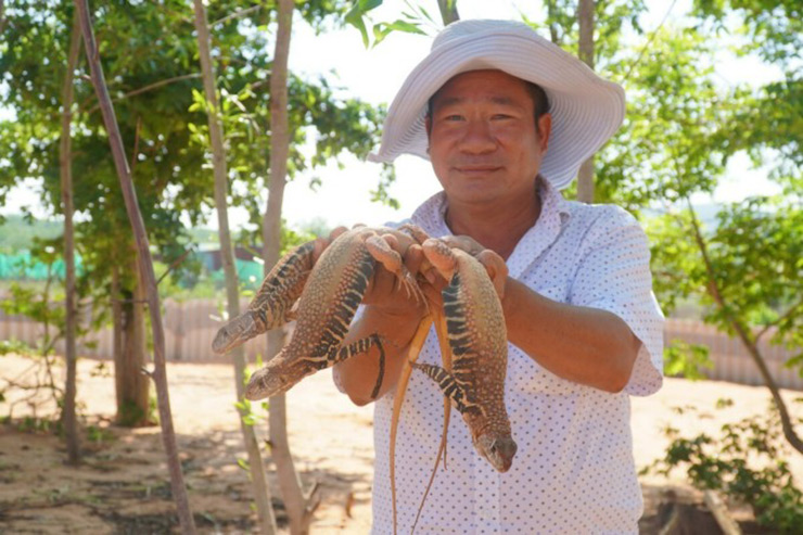 Nó còn có các tên gọi khác như con kỳ nhông cát hay con nhông. 
