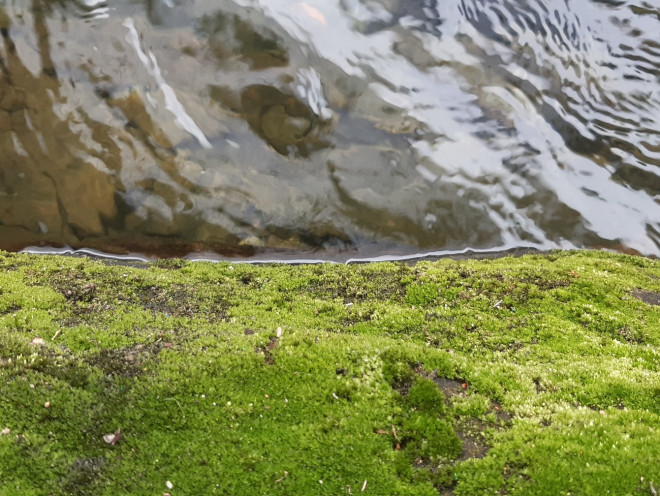 Mát rượi dòng nước trong xanh ở thác Bồ Ghè - 17
