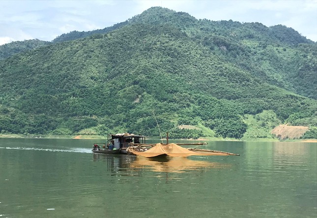 Theo người đánh cá, cá ngần trên lòng hồ Hòa Bình mới xuất hiện cách đây 7 đến 8 năm. Khi mới xuất hiện, người dân không biết loại cá gì, nên không dám ăn, đánh bắt về chỉ dùng cho chăn nuôi. Nhưng một thời gian sau, người dân ăn thử, thấy ngon, bổ dưỡng nên được mọi người ưa chuộng; từ đó xuất hiện nghề đánh cá ngần trên lòng hồ Hòa Bình và loại cá này trở thành đặc sản.