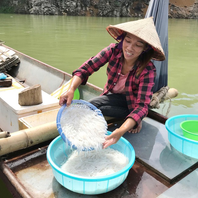 Toàn thân cá ngần trắng muốt, mắt cá như hạt vừng đen nhánh. Vào chính vụ, mỗi thuyền đánh bắt được khoảng 100kg/ngày, còn vào đầu vụ và cuối vụ thì chỉ 30 đến 40kg/ngày. Ngư dân đánh được đến đâu, các thương lái thu mua đến đó. Giá cá trung bình tại thuyền hiện nay khoảng 100 nghìn đồng/kg.