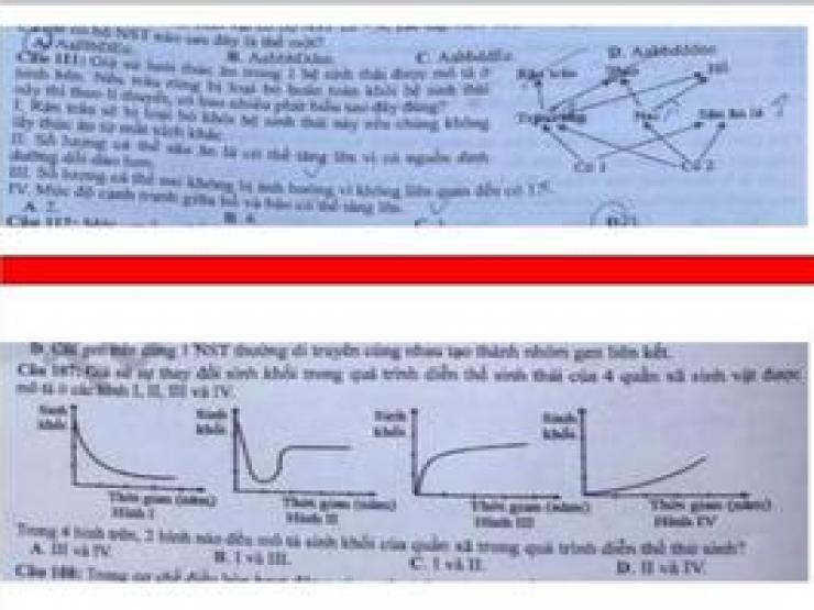 Khởi tố vụ án hình sự xảy ra tại Bộ Giáo dục và Đào tạo