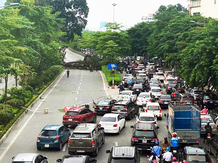 Tin tức 24h qua: “Cụ” đa trăm tuổi được Hà Nội bảo tồn bất ngờ gãy trong đêm