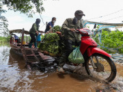 Tin tức trong ngày - Người dân bãi giữa Sông Hồng phải đi đò vào &quot;đất liền&quot;