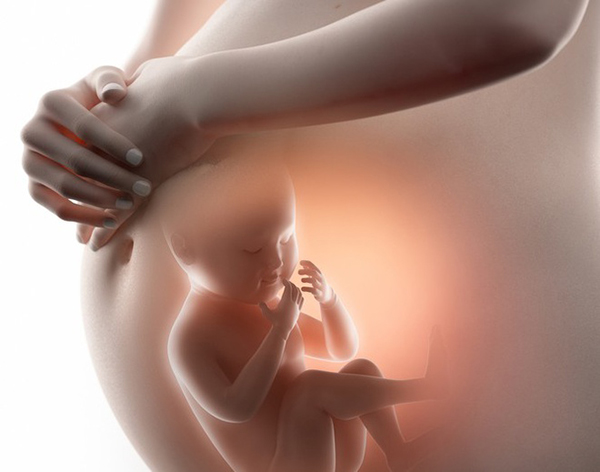 Giai đoạn bào thai trẻ có thể tăng chiều cao 4-5cm, cha mẹ tận dụng ngay nếu muốn con cao vượt trội - 1