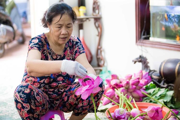 Những bông sen ưu tú nhất được chọn từ tháng 7 để tạo ra lọai trà thượng hạng.