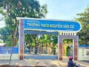 Tin tức trong ngày - Buộc thôi việc 1 hiệu phó dùng bằng giả