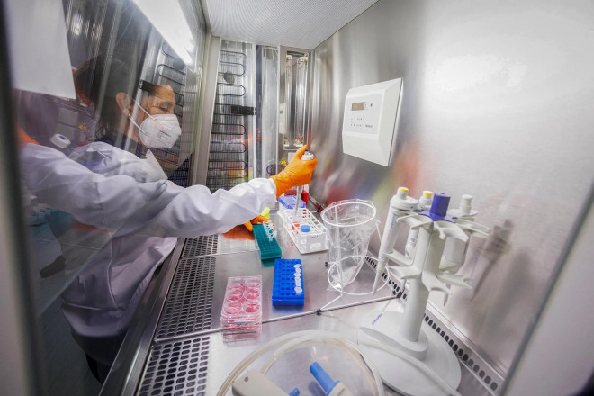Điều chế vắc-xin đậu mùa, thứ có thể đồng thời ngăn chặn đậu mùa khỉ - Ảnh: REUTERS