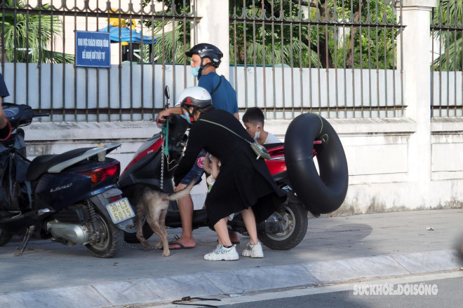 Một gia đình trang bị cả phao bơi như đi tắm biển.