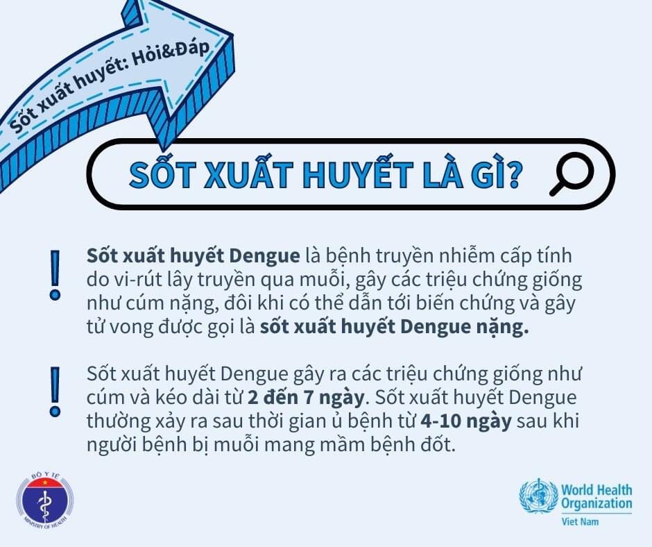 Giải đáp mọi thắc mắc về sốt xuất huyết - 1