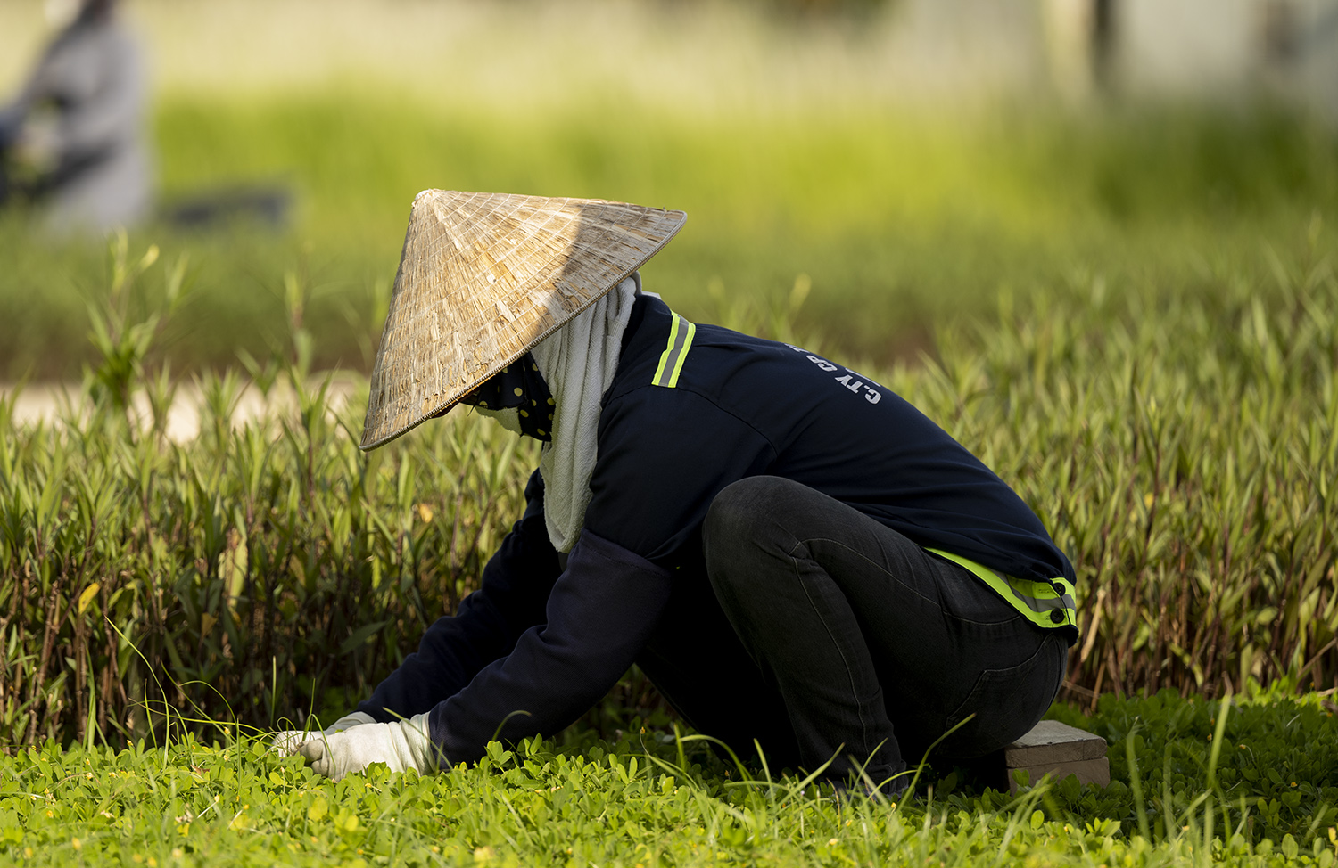 Ai cũng bịt kín từ đầu đến chân.