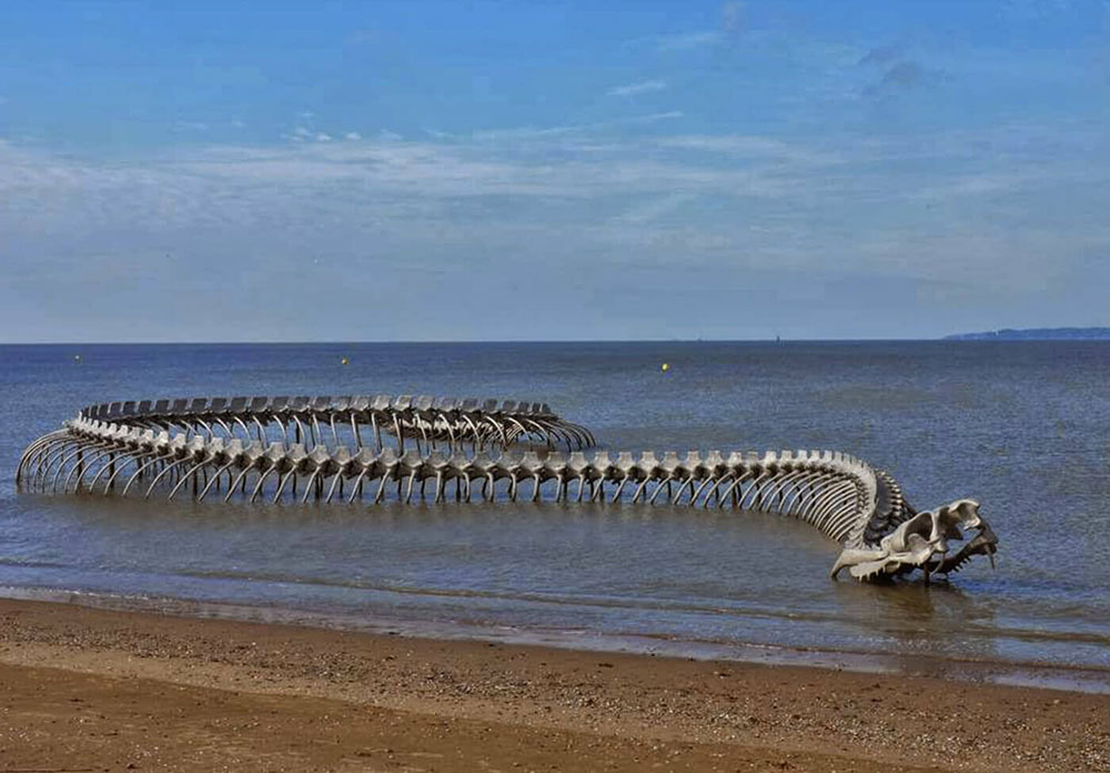 Bộ xương rắn khổng lồ nổi bật giữa bãi biển hút khách du lịch - 3