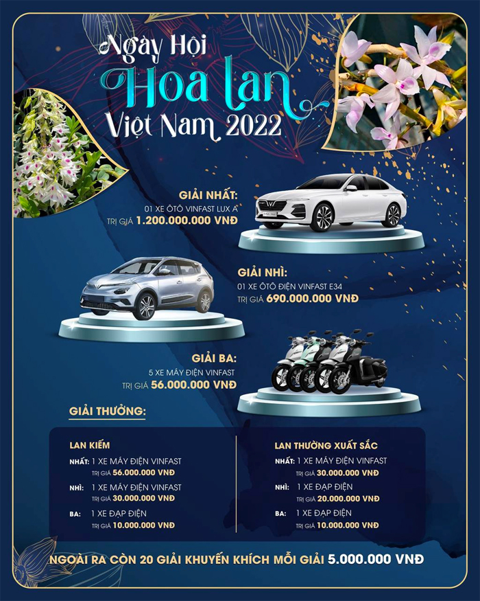 Cuộc thi Hoa Lan quy mô lớn diễn ra tại Hà Nội: Sân chơi uy tín dành cho giới sành hoa - 3