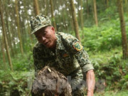 Thị trường - Tiêu dùng - Kiếm tiền triệu mỗi ngày nhờ nghề săn trứng kiến ở Bắc Giang