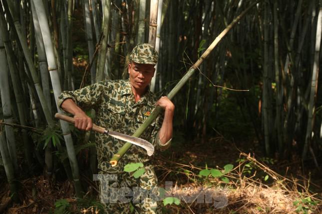 Từ đầu tháng 3 Âm lịch, các thợ săn ở tỉnh Bắc Giang bắt đầu vào mùa săn trứng kiến. Trong ảnh: Anh Khổng Minh Sơn ở huyện Yên Thế đang chuẩn bị đồ nghề để vào rừng săn trứng.