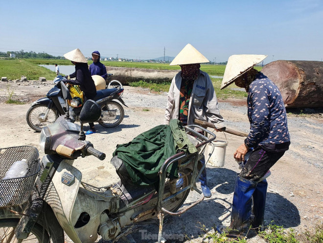 Phần lớn cua đồng sau khi mua sẽ được bán cho các nhà hàng, khách sạn ở TP.Vinh và các tỉnh thành phía Bắc. Thời tiết nắng nóng, cua đồng ngày càng được ưa chuộng, bởi thế hầu như phần lớn ngày nào nguồn cung cũng không đủ nhu cầu.