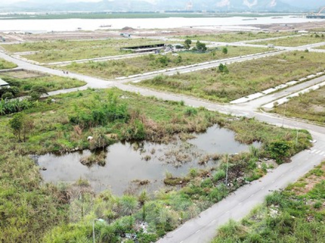 Khu đô thị gần 100ha ''đất vàng'' ở Quảng Ninh bỏ hoang, cỏ mọc um tùm