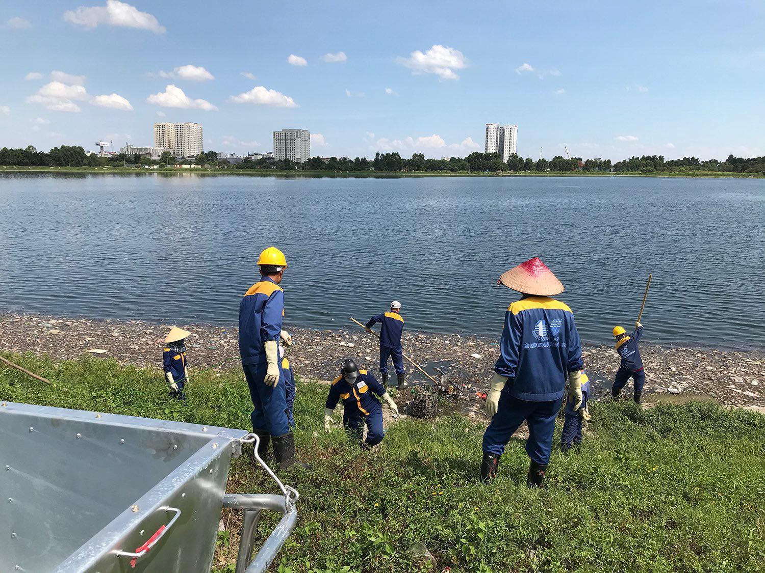 Cá chết hàng loạt tại hồ điều hòa Yên Sở.