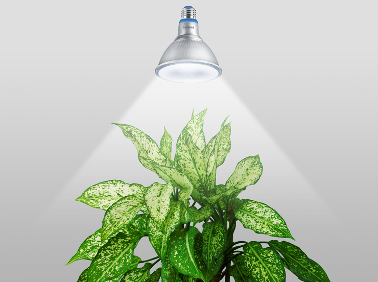 Philips LED Plant Grow Par38.