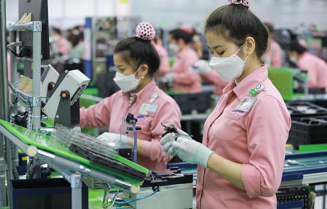 Nền kinh tế Việt Nam đang chứng kiến sự phục hồi thực sự mạnh mẽ