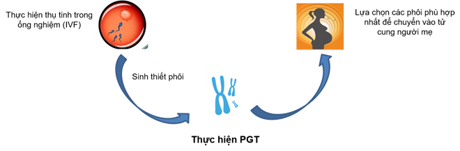 Sàng lọc di truyền trước chuyển phôi PGT MAX 1 - Giải pháp sinh con khỏe mạnh - 1