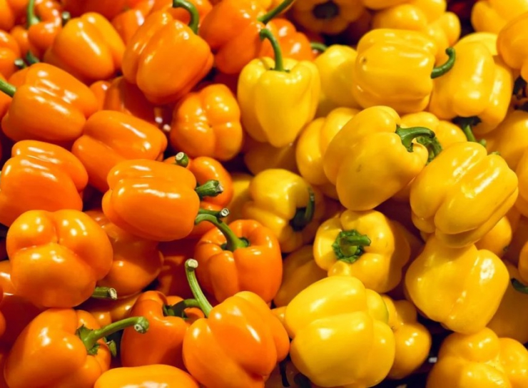 7 lợi ích tuyệt vời cho sức khỏe của ớt chuông - 2