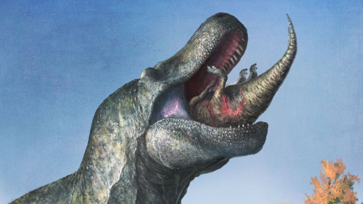 T-rex rất có thể có môi giống thằn lằn - Ảnh: Mark P. Witton