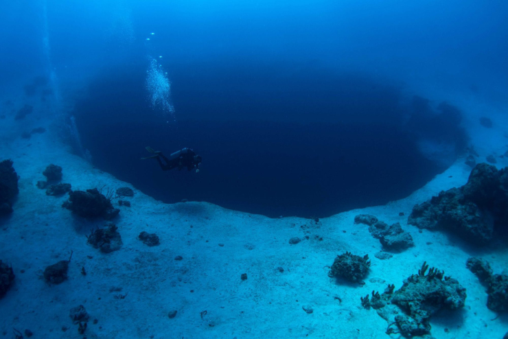 Một số người yêu thích cảm giác mạo hiểm đã lặn xuống Blue Holes, Bahamas để khám phá bên trong.
