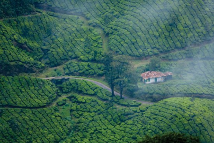 Có nhiều địa điểm du lịch ít được biết đến ở Idukki nhưng lại mang tới những trải nghiệm không thể quên cho những ai từng tới đây một lần.
